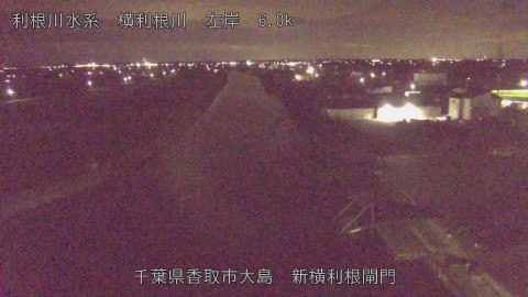 yoko2025111823_image