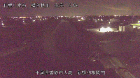 yoko2025111900_image