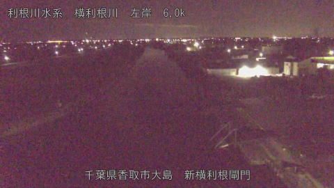 yoko2025111901_image