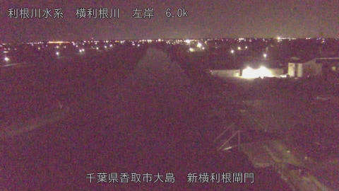 yoko2025111902_image