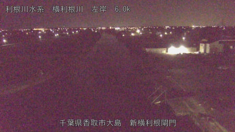 yoko2025111904_image