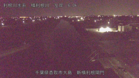 yoko2025111905_image