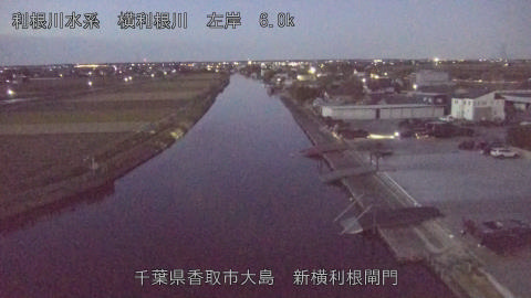 yoko2025111906_image