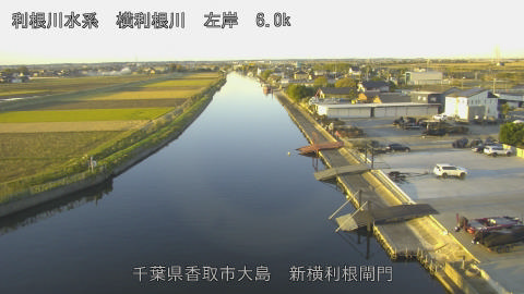 yoko2025111907_image