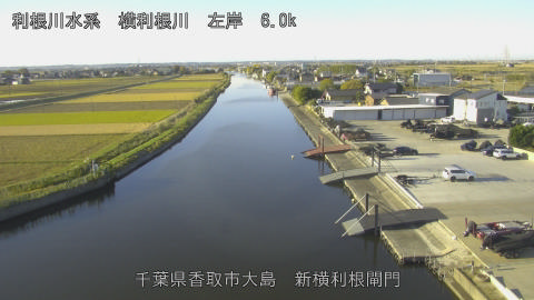 yoko2025111908_image