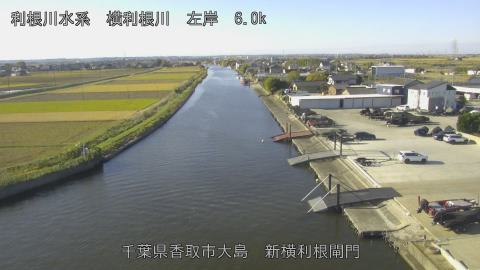 yoko2025111909_image