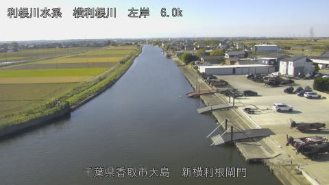 yoko2025111910_image