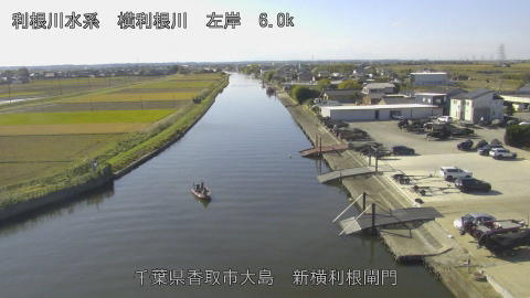 yoko2025111911_image