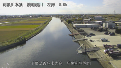 yoko2025111912_image