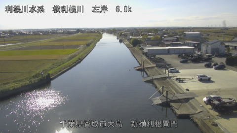 yoko2025111913_image