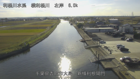 yoko2025111914_image