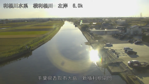 yoko2025111915_image