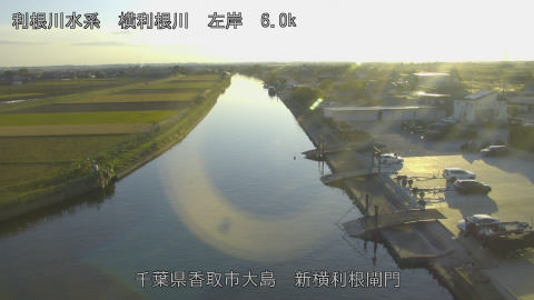 yoko2025111916_image