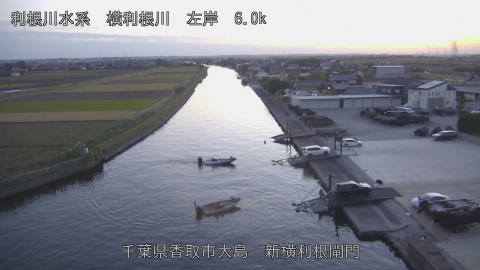 yoko2025111917_image