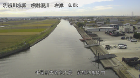 yoko2025112012_image