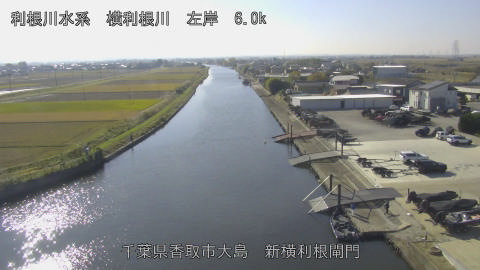 yoko2025112112_image