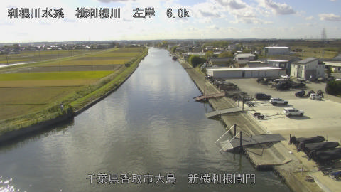 yoko2025112212_image