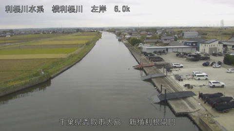 yoko2025112312_image