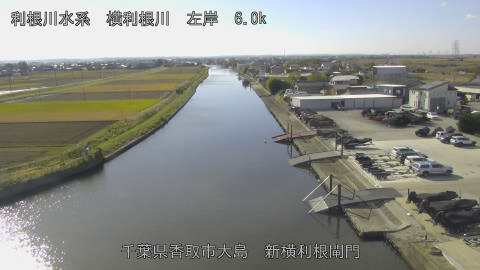 yoko2025112412_image