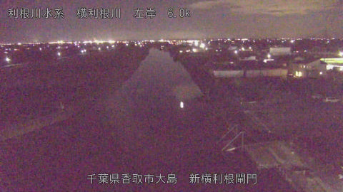 yoko2025112418_image