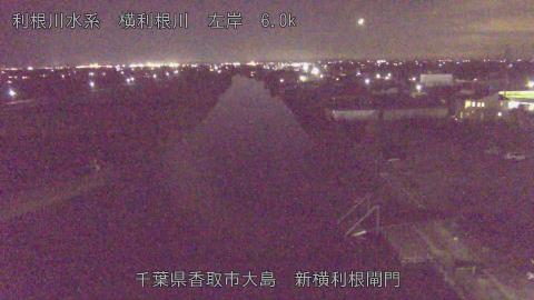 yoko2025112419_image