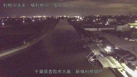 yoko2025112420_image