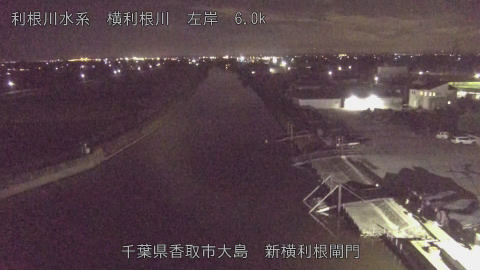 yoko2025112421_image