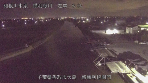 yoko2025112422_image