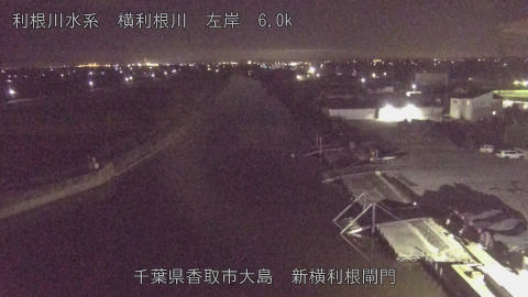 yoko2025112423_image