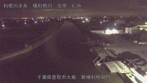 yoko2025112500_image