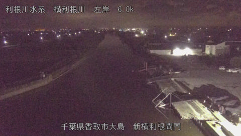 yoko2025112502_image