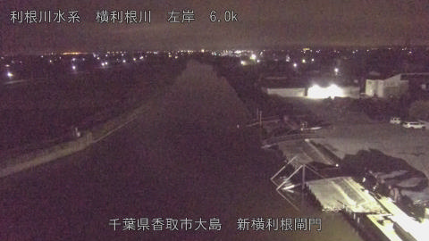 yoko2025112503_image