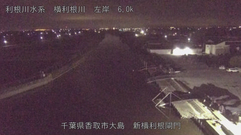 yoko2025112504_image