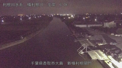 yoko2025112506_image