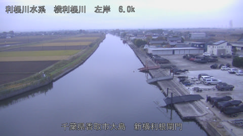 yoko2025112507_image