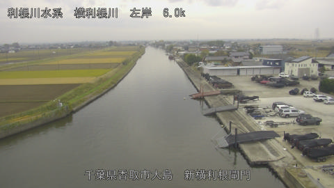 yoko2025112509_image