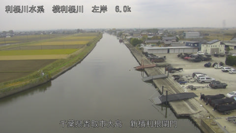 yoko2025112510_image