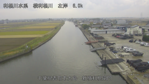 yoko2025112511_image