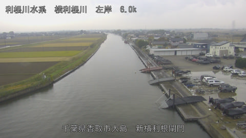 yoko2025112512_image