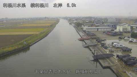 yoko2025112513_image