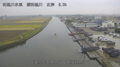 yoko2025112514_image