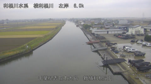 yoko2025112515_image