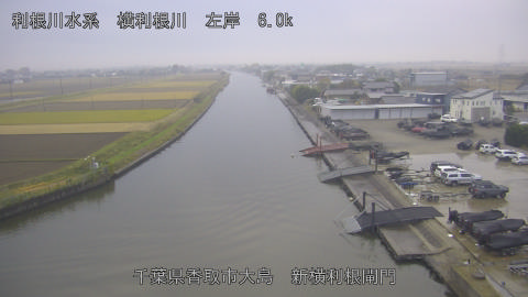 yoko2025112516_image