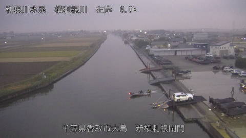 yoko2025112517_image