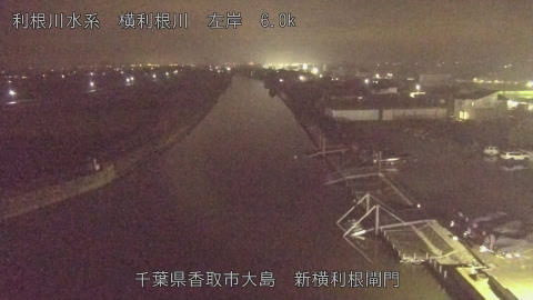 yoko2025112518_image