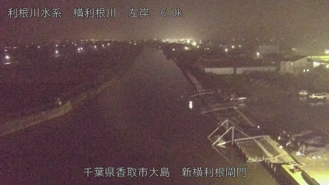 yoko2025112519_image