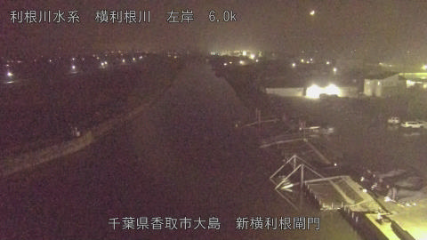 yoko2025112520_image