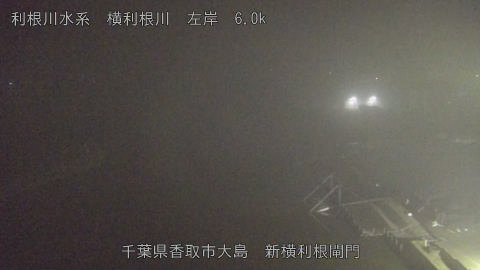 yoko2025112522_image