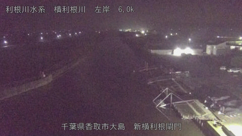 yoko2025112601_image