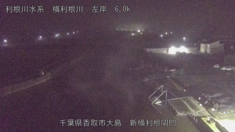 yoko2025112602_image